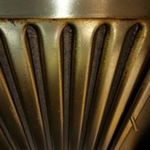 280506463_309058358062545_1847528670684733508_n